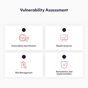 vulnerability-assessment infographic